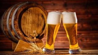 精釀啤酒設(shè)備 精釀啤酒設(shè)備